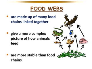  are made up of many food
chains linked together

 give a more complex
picture of how animals
feed

 are more stable than food
chains

 