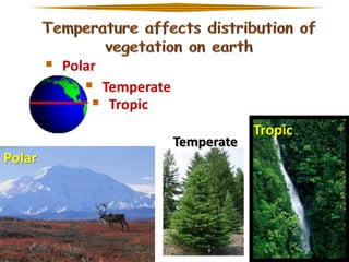  Polar
 Temperate
 Tropic
Temperate

Polar

Tropic

 