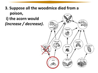 3. Suppose all the woodmice died from a
poison,
i) the acorn would
(increase / decrease).

 