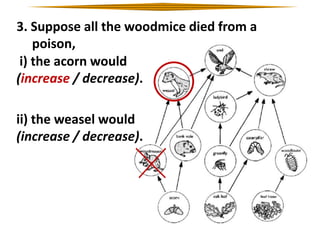 3. Suppose all the woodmice died from a
poison,
i) the acorn would
(increase / decrease).
ii) the weasel would
(increase / decrease).

 