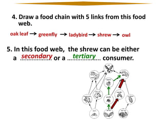 4. Draw a food chain with 5 links from this food
web.
oak leaf

greenfly

ladybird

shrew

owl

5. In this food web, the shrew can be either
secondary
tertiary
a ………………. or a ……………….. consumer.

 
