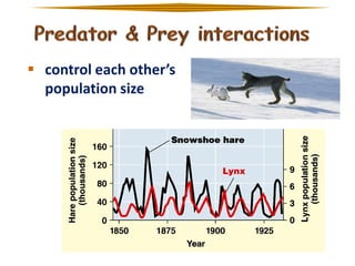  control each other’s
population size

 