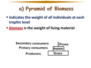  indicates the weight of all individuals at each
trophic level
 biomass is the weight of living material

 