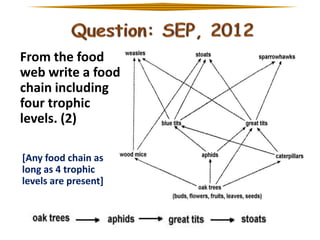 From the food
web write a food
chain including
four trophic
levels. (2)
[Any food chain as
long as 4 trophic
levels are present]

 