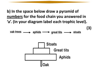 b) In the space below draw a pyramid of
numbers for the food chain you answered in
‘a’. (In your diagram label each trophic level).
(3)

 