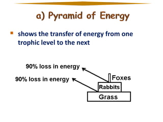  shows the transfer of energy from one
trophic level to the next

 