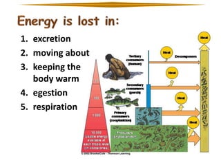 1. excretion
2. moving about
3. keeping the
body warm
4. egestion
5. respiration

 