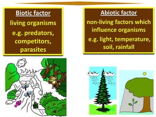 Biotic factor
living organisms
e.g. predators,
competitors,
parasites

Abiotic factor
non-living factors which
influence organisms
e.g. light, temperature,
soil, rainfall

 