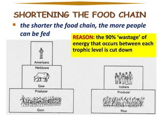  the shorter the food chain, the more people
can be fed

REASON: the 90% ‘wastage’ of
energy that occurs between each
trophic level is cut down

 