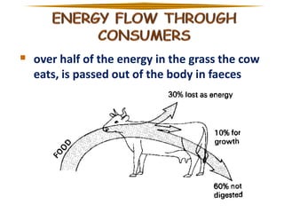  over half of the energy in the grass the cow
eats, is passed out of the body in faeces

 