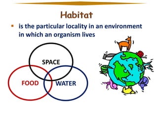  is the particular locality in an environment
in which an organism lives

SPACE
FOOD

WATER

 