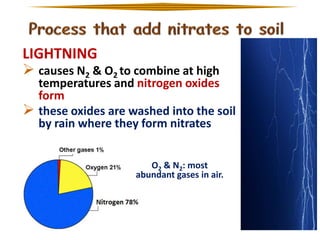 LIGHTNING
 causes N2 & O2 to combine at high

temperatures and nitrogen oxides
form
 these oxides are washed into the soil
by rain where they form nitrates
O2 & N2: most
abundant gases in air.

 