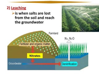 2) Leaching
is when salts are lost
from the soil and reach
the groundwater

Nitrates

 