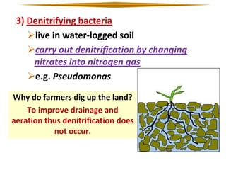 3) Denitrifying bacteria
live in water-logged soil
carry out denitrification by changing
nitrates into nitrogen gas
e.g. Pseudomonas
Why do farmers dig up the land?
To improve drainage and
aeration thus denitrification does
not occur.

 