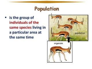  is the group of
individuals of the
same species living in
a particular area at
the same time

 
