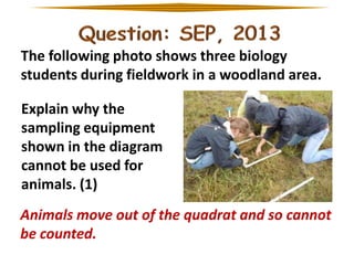 The following photo shows three biology
students during fieldwork in a woodland area.
Explain why the
sampling equipment
shown in the diagram
cannot be used for
animals. (1)

Animals move out of the quadrat and so cannot
be counted.

 