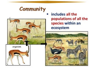  includes all the
populations of all the
species within an
ecosystem

 