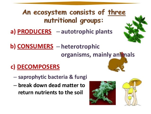 Ecology