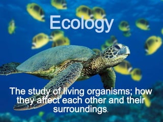 Ecology
The study of living organisms; how
they affect each other and their
surroundings.
 