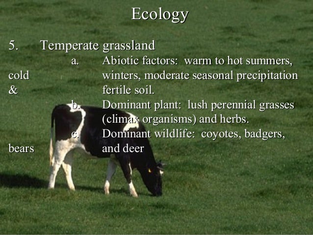 Abiotic factors in a grassland