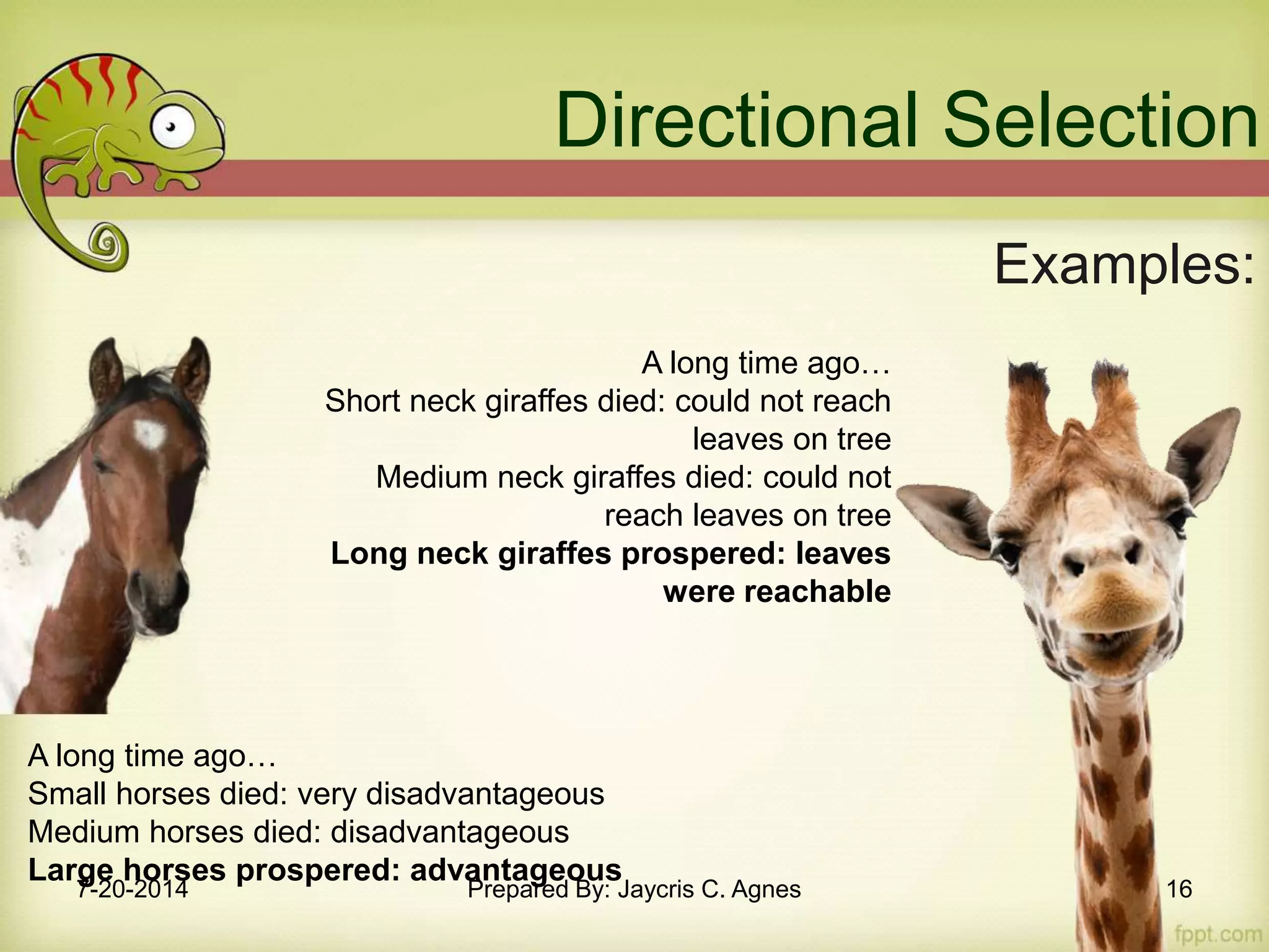 Ecological Genetics: Adaptation and Natural Selection | PPTX