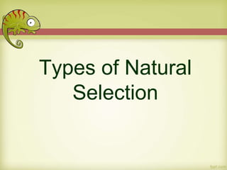 Types of Natural
Selection
 