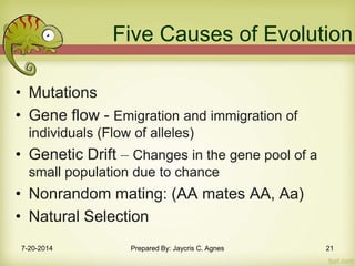 Five Causes of Evolution
• Mutations
• Gene flow - Emigration and immigration of
individuals (Flow of alleles)
• Genetic Drift – Changes in the gene pool of a
small population due to chance
• Nonrandom mating: (AA mates AA, Aa)
• Natural Selection
7-20-2014 Prepared By: Jaycris C. Agnes 21
 