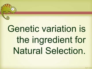 Genetic variation is
the ingredient for
Natural Selection.
 