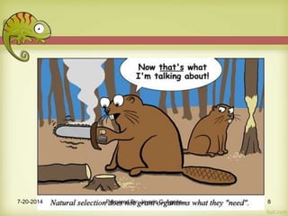 7-20-2014 Prepared By: Jaycris C. Agnes 8
 