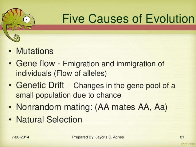 Natural Selection Versus Evolution Natural Selection Versus Evolution