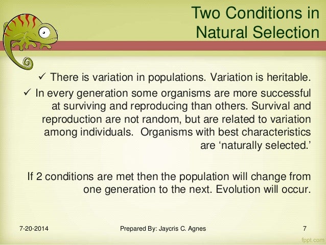 Creating New Organisms Naturally Creating New Organisms Naturally