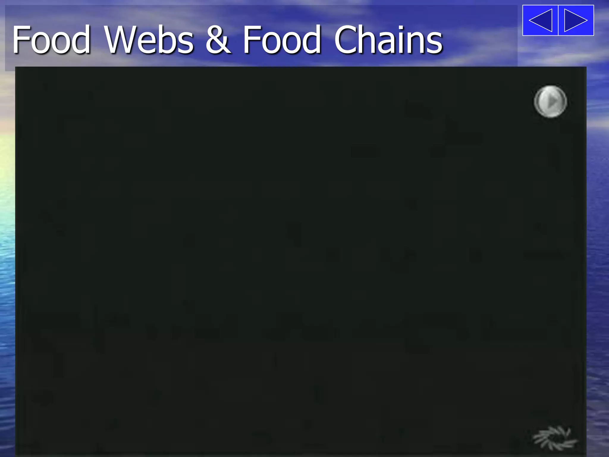 Food Webs & Food Chains 
 