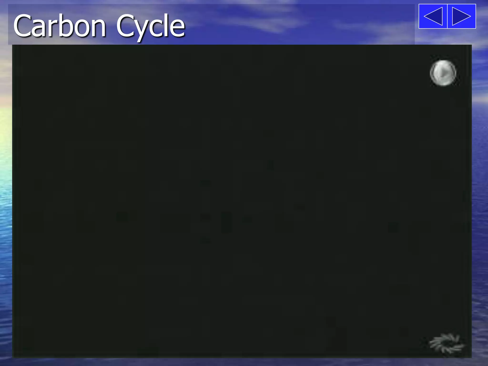 Carbon Cycle 
 