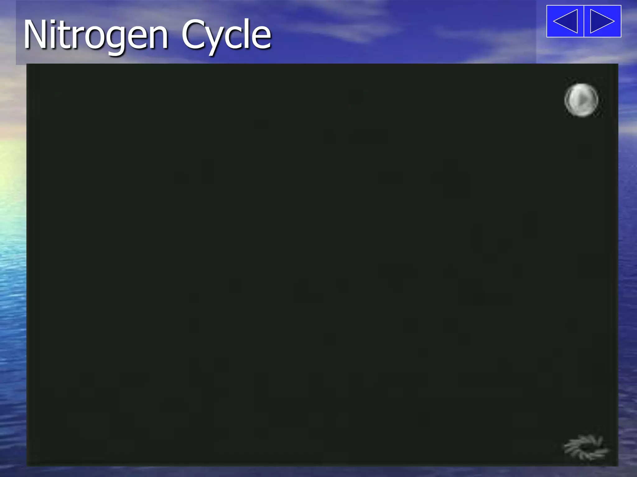 Nitrogen Cycle 
 