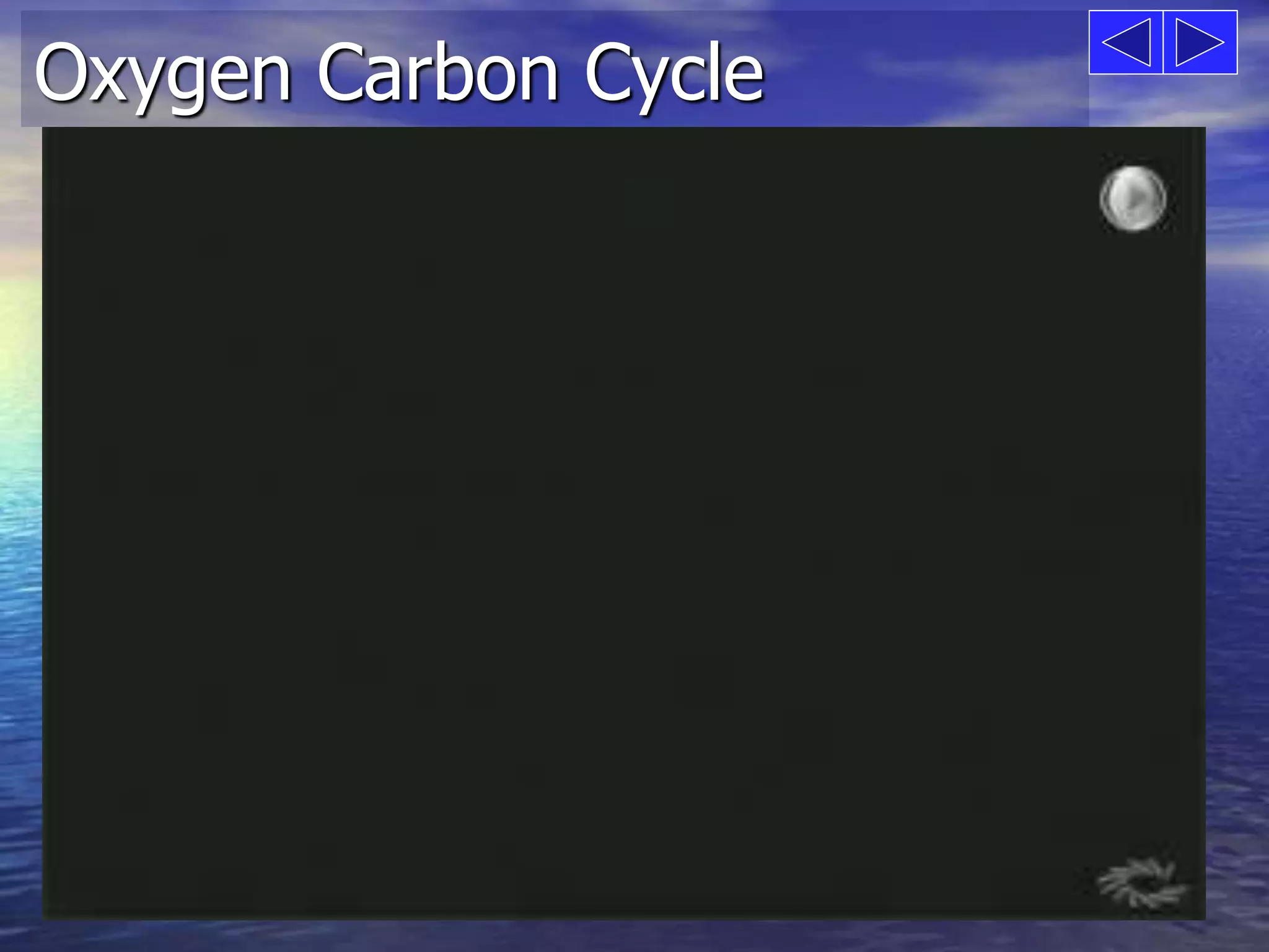 Oxygen Carbon Cycle 
