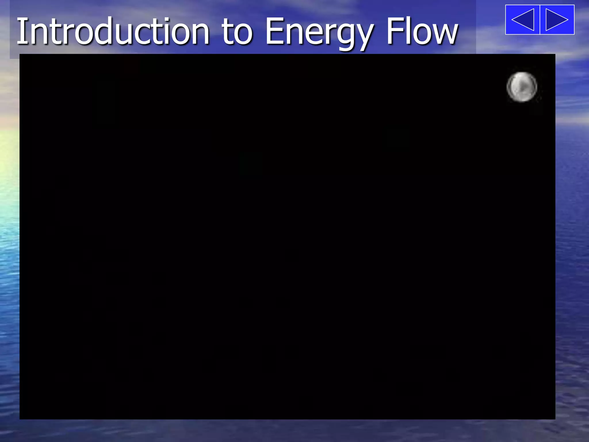 Introduction to Energy Flow 
 
