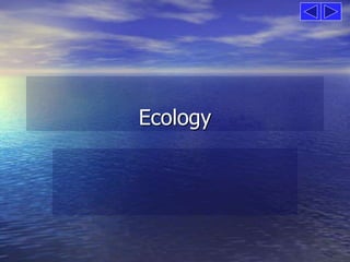 Ecology 
 