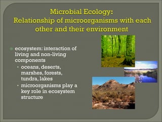 ecosystem: interaction of
living and non-living
components
• oceans, deserts,
marshes, forests,
tundra, lakes
• microorganisms play a
key role in ecosystem
structure
 