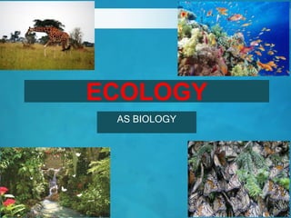 ECOLOGY
AS BIOLOGY
 