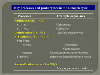 Ecology | PDF
