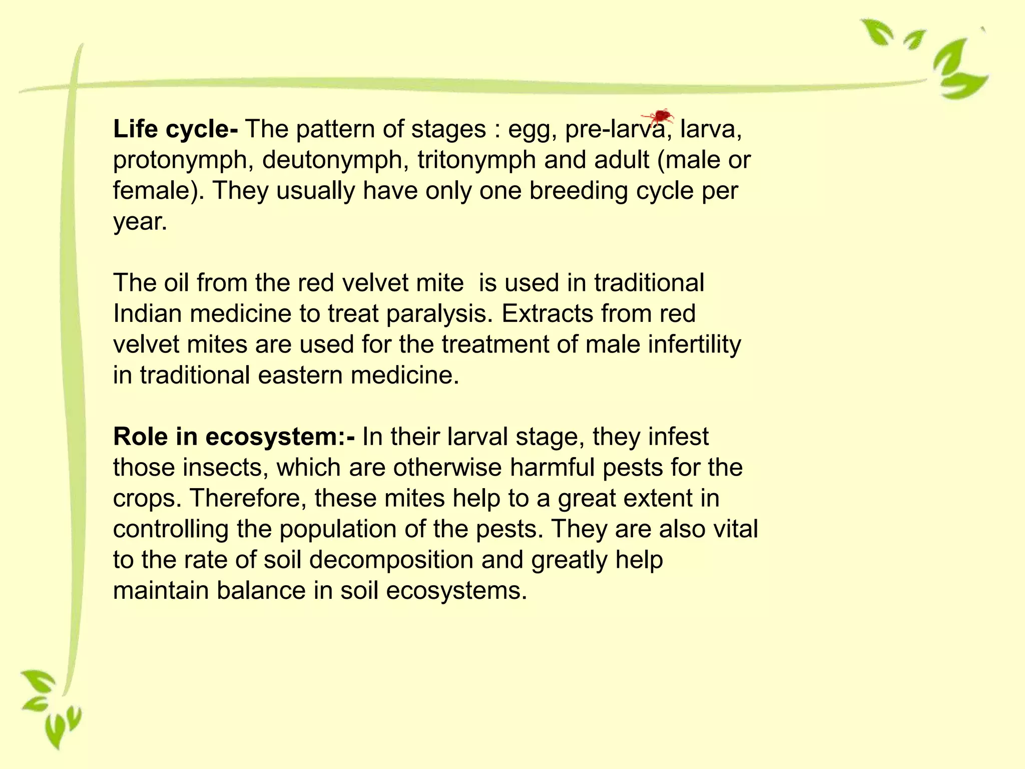 Life cycle- The pattern of stages : egg, pre-larva, larva,
protonymph, deutonymph, tritonymph and adult (male or
female). They usually have only one breeding cycle per
year.
The oil from the red velvet mite is used in traditional
Indian medicine to treat paralysis. Extracts from red
velvet mites are used for the treatment of male infertility
in traditional eastern medicine.
Role in ecosystem:- In their larval stage, they infest
those insects, which are otherwise harmful pests for the
crops. Therefore, these mites help to a great extent in
controlling the population of the pests. They are also vital
to the rate of soil decomposition and greatly help
maintain balance in soil ecosystems.
 