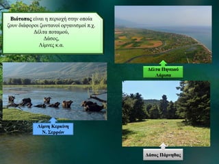 Βιότοπος είναι η περιοχή στην οποία
ζουν διάφοροι ζωντανοί οργανισμοί π.χ.
Δέλτα ποταμού,
Δάσος,
Λίμνες κ.α.
Δέλτα Πηνειού
Λάρισα
Λίμνη Κερκίνη
Ν. Σερρών
Δάσος Πάρνηθας
 