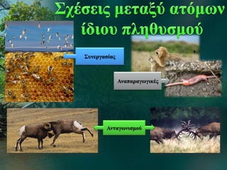 Αναπαραγωγικές
Συνεργασίας
Ανταγωνισμού
 