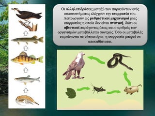 Οι αλληλεπιδράσεις μεταξύ των παραγόντων ενός
οικοσυστήματος ελέγχουν την ισορροπία του.
Λειτουργούν ως ρυθμιστικοί μηχανισμοί μιας
ισορροπίας η οποία δεν είναι στατική, διότι οι
αβιοτικοί παράγοντες όπως και ο αριθμός των
οργανισμών μεταβάλλεται συνεχώς. Όσο οι μεταβολές
κυμαίνονται σε κάποια όρια, η ισορροπία μπορεί να
αποκαθίσταται.
 