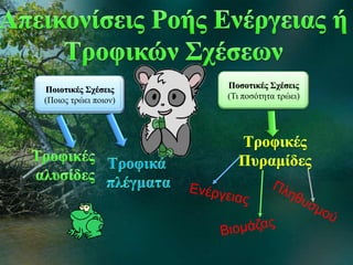 Ποιοτικές Σχέσεις
(Ποιος τρώει ποιον)
Ποσοτικές Σχέσεις
(Τι ποσότητα τρώει)
 