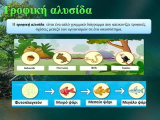 Η τροφική αλυσίδα είναι ένα απλό γραμμικό διάγραμμα που απεικονίζει τροφικές
σχέσεις μεταξύ των οργανισμών σε ένα οικοσύστημα.
 