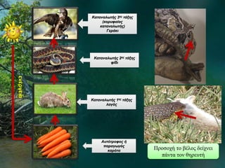 ενέργεια
Αυτότροφος ή
παραγωγός
καρότα
Καταναλωτής 1ης τάξης
λαγός
Καταναλωτής 2ης τάξης
φίδι
Καταναλωτής 3ης τάξης
(κορυφαίος
καταναλωτής)
Γεράκι
Προσοχή το βέλος δείχνει
πάντα τον θηρευτή
 