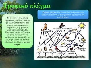 Σε ένα οικοσύστημα ένας
οργανισμός συνήθως τρέφεται
με άλλους οργανισμούς που
ανήκουν σε διαφορετικούς
πληθυσμούς π.χ. η αλεπού
τρώει λαγούς, κότες κ.τ.λ..
Έτσι, στην πραγματικότητα οι
τροφικές σχέσεις είναι πιο
περίπλοκες και απεικονίζονται
καλύτερα με ένα πιο σύνθετο
διάγραμμα που λέγεται τροφικό
πλέγμα.
Τροφικό πλέγμα είναι ένα σύνθετο διάγραμμα που
απεικονίζει το σύνολο των τροφικών σχέσεων σε ένα
οικοσύστημα.
 