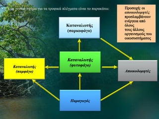 • Ένα γενικό σχήμα για τα τροφικά πλέγματα είναι το παρακάτω:
Παραγωγός
Καταναλωτής
(φυτοφάγο)
Καταναλωτής
(σαρκοφάγο)
Καταναλωτής
(παμφάγο) Αποικοδομητές
Προσοχή: οι
αποικοδομητές
προσλαμβάνουν
ενέργεια από
όλους
τους άλλους
οργανισμούς του
οικοσυστήματος
 