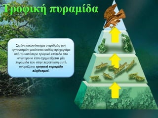 Σε ένα οικοσύστημα ο αριθμός των
οργανισμών μειώνεται καθώς προχωράμε
από το κατώτερο τροφικό επίπεδο στο
ανώτερο κι έτσι σχηματίζεται μία
πυραμίδα που στην περίπτωση αυτή
ονομάζεται τροφική πυραμίδα
πληθυσμού.
 